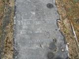image of grave number 81181